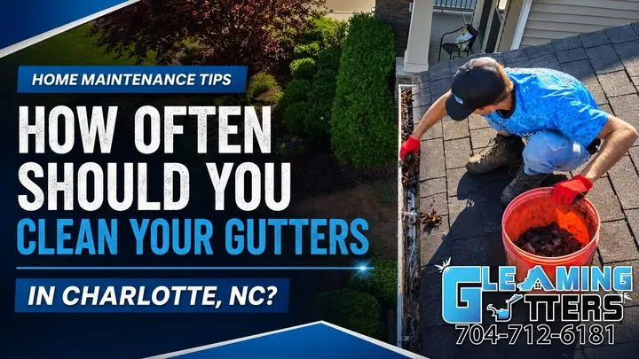 How Often Should You Clean Your Gutters in Charlotte, NC?
