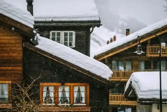 houses with snow covered roofs.