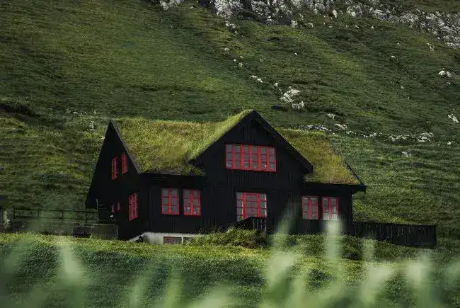 Property with green roof.