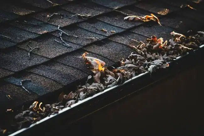 clogged gutters