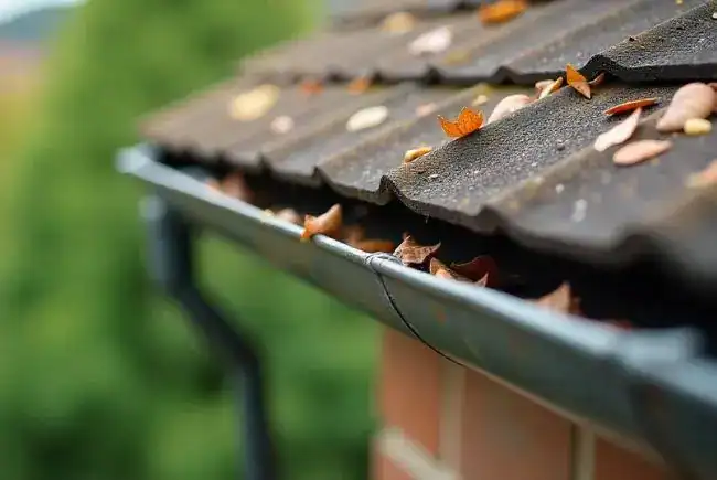 close up of clogged gutters