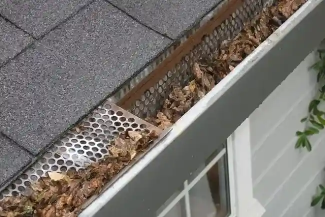 gutter system clogged with leaves and debris