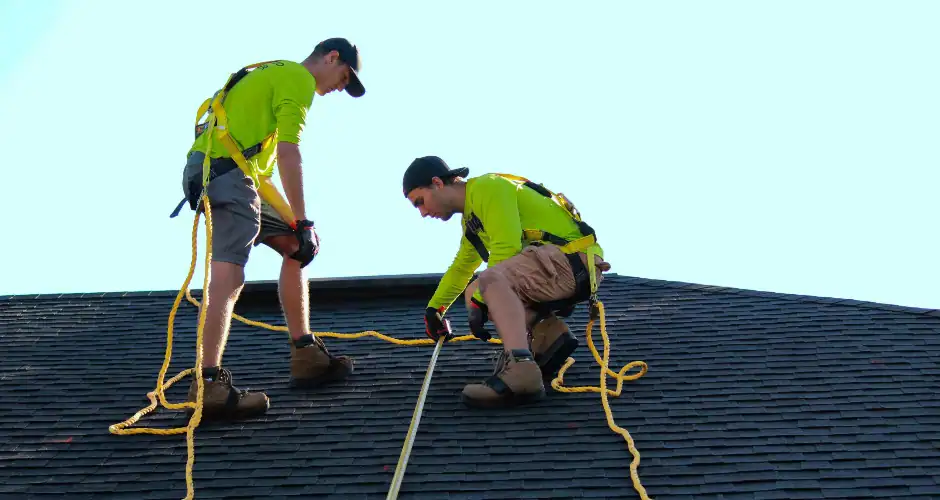 professional cleaning and roof repair