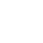 Car Accident Lawyer Icon Image