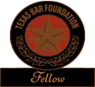 Texas Bar Foundation Icon
