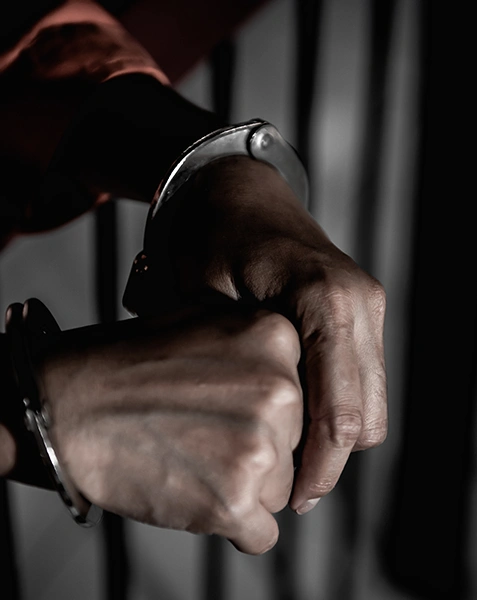 Federal Criminal Defense Image