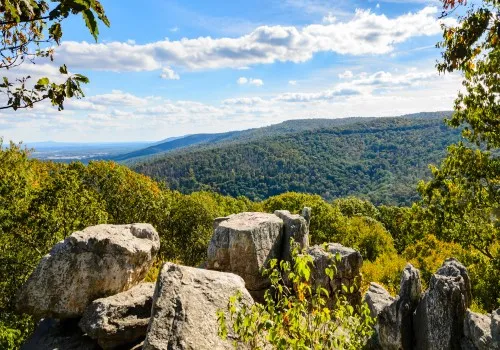 Catoctin Mountain Park in Thurmont
