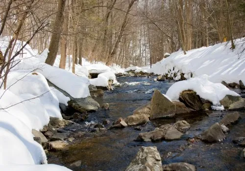 Catoctin Wildlife Preserve in Thurmont