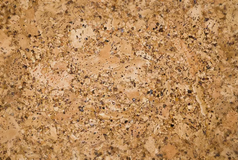Cork Texture