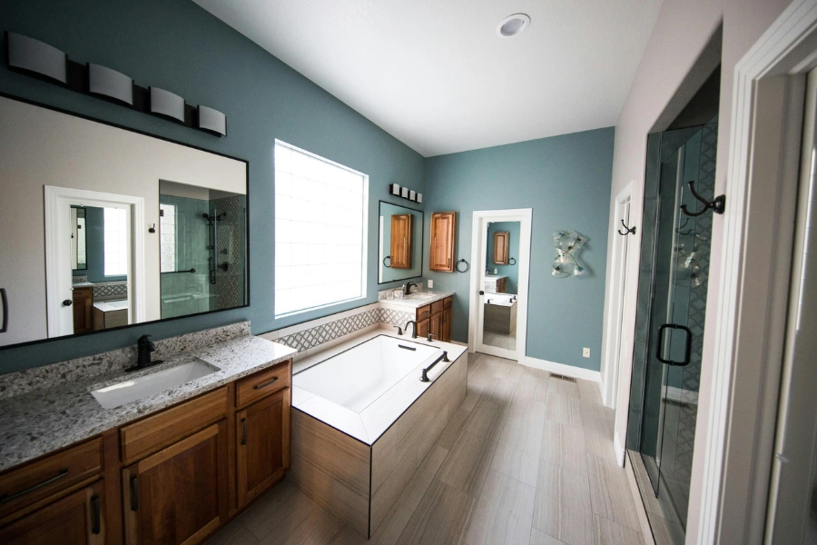 jack and jill bathroom