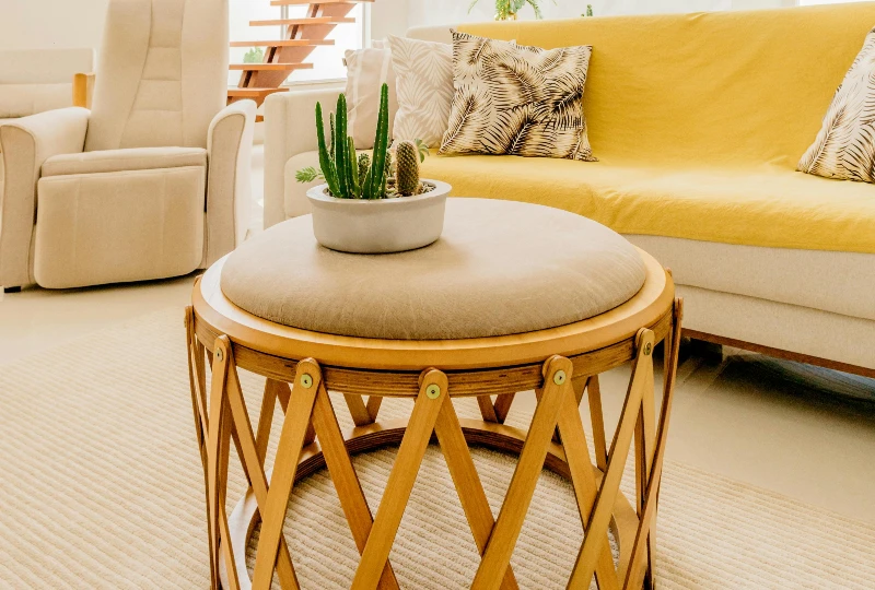 Living Room Carpet