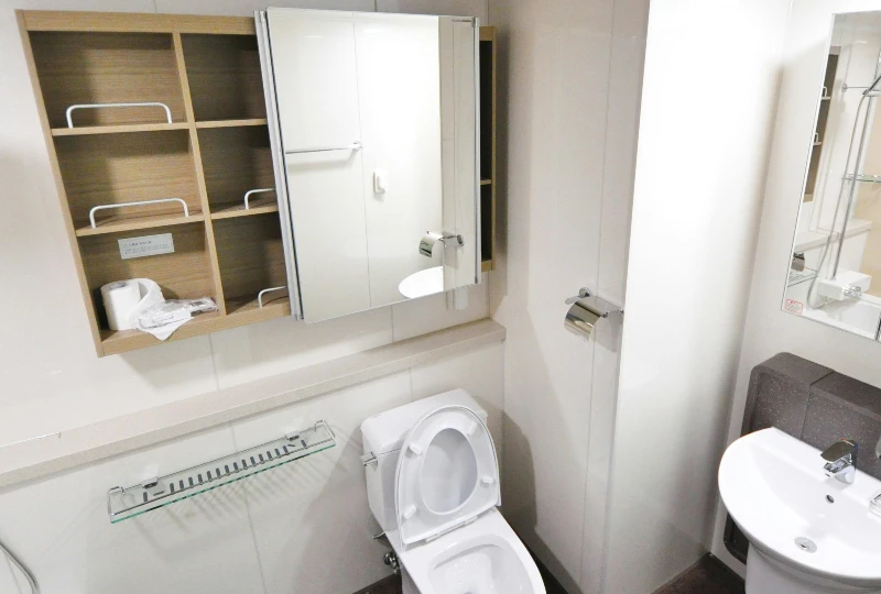 Medicine Cabinets in bathroom