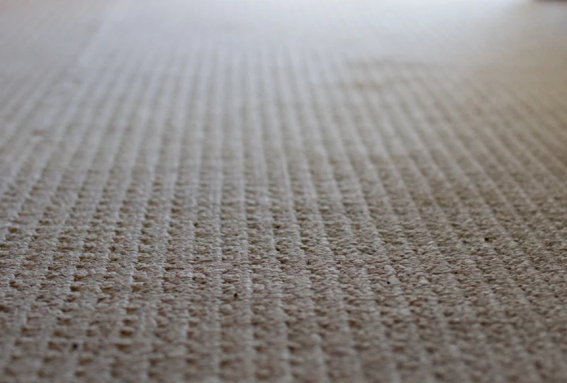 Nylon Carpeting