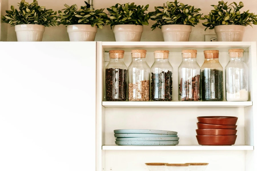open kitchen shelving displaying dishes and potted plants.