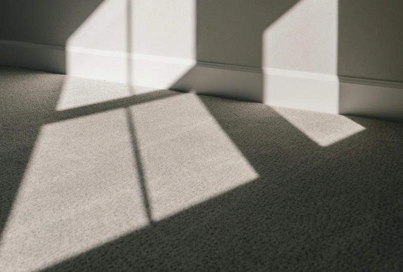 Textured PET Polyester Carpet