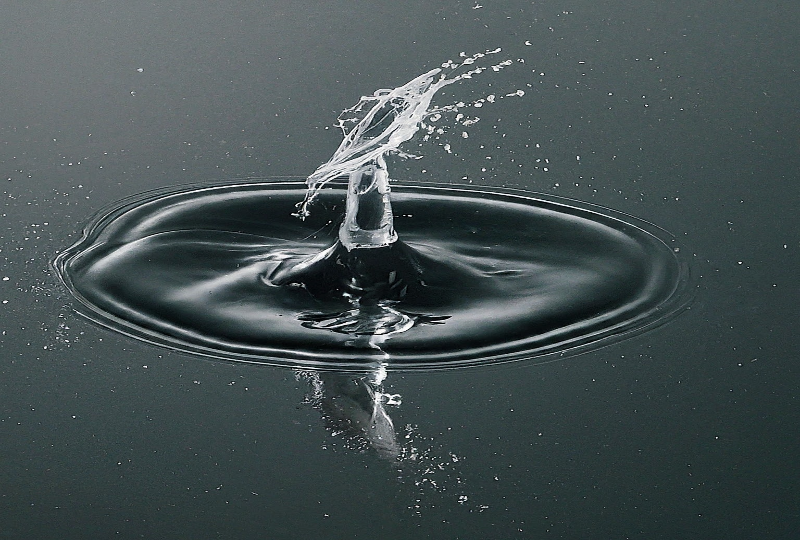 Waterproof Flooring
