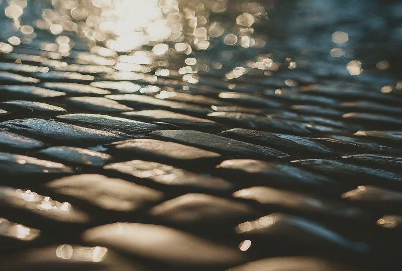 Waterproof Flooring