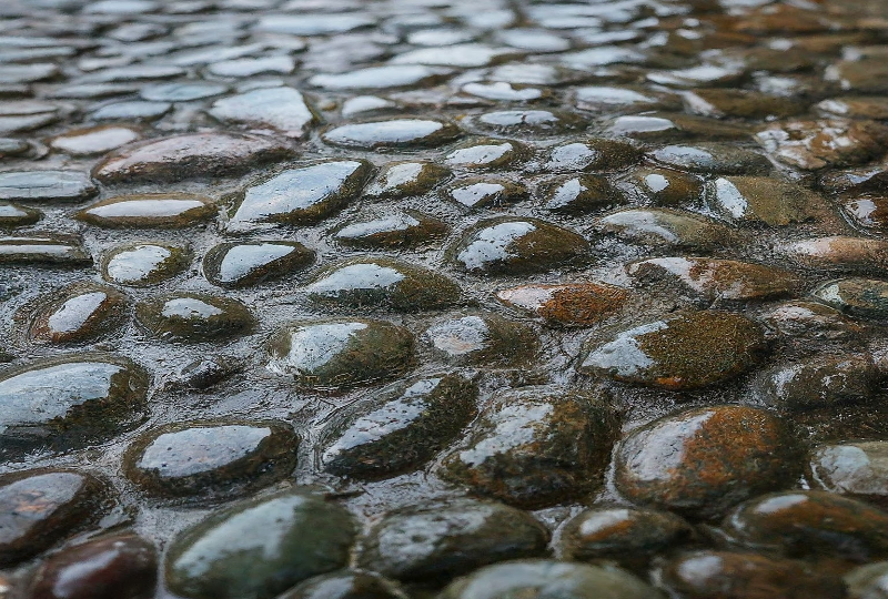 Waterproof Flooring