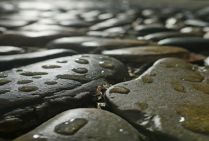 Waterproof Flooring