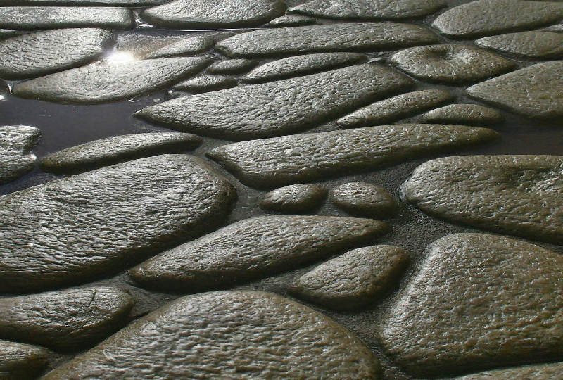 Waterproof Flooring