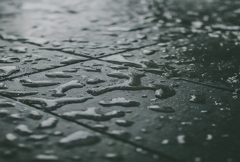 Waterproof Flooring