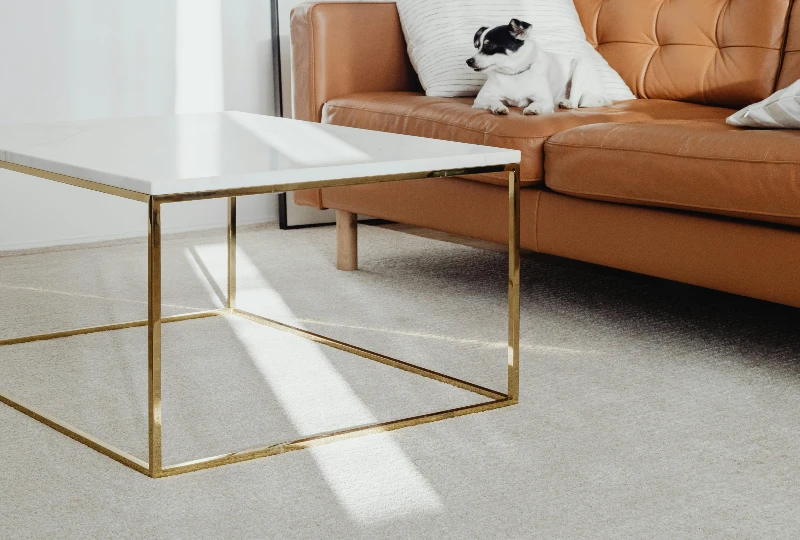 White Lounge Carpet