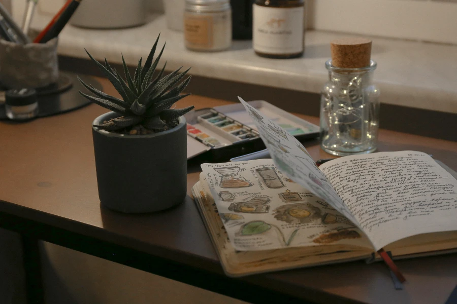 plant and scrapbook on desk