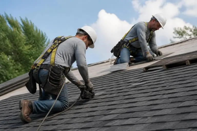 Professional Roofing: Standards and Best Practices