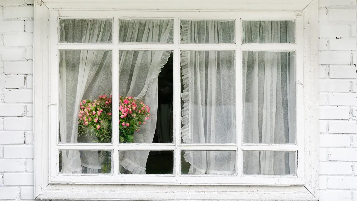 Windows in Colorado