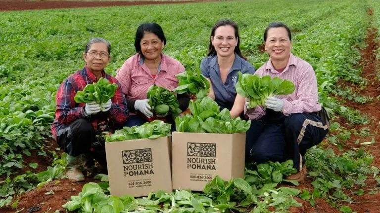 MidWeek Spotlights Hawaiʻi Foodbank’s 40th Anniversary