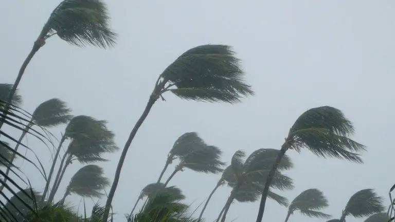 Preparing for Hurricane Season