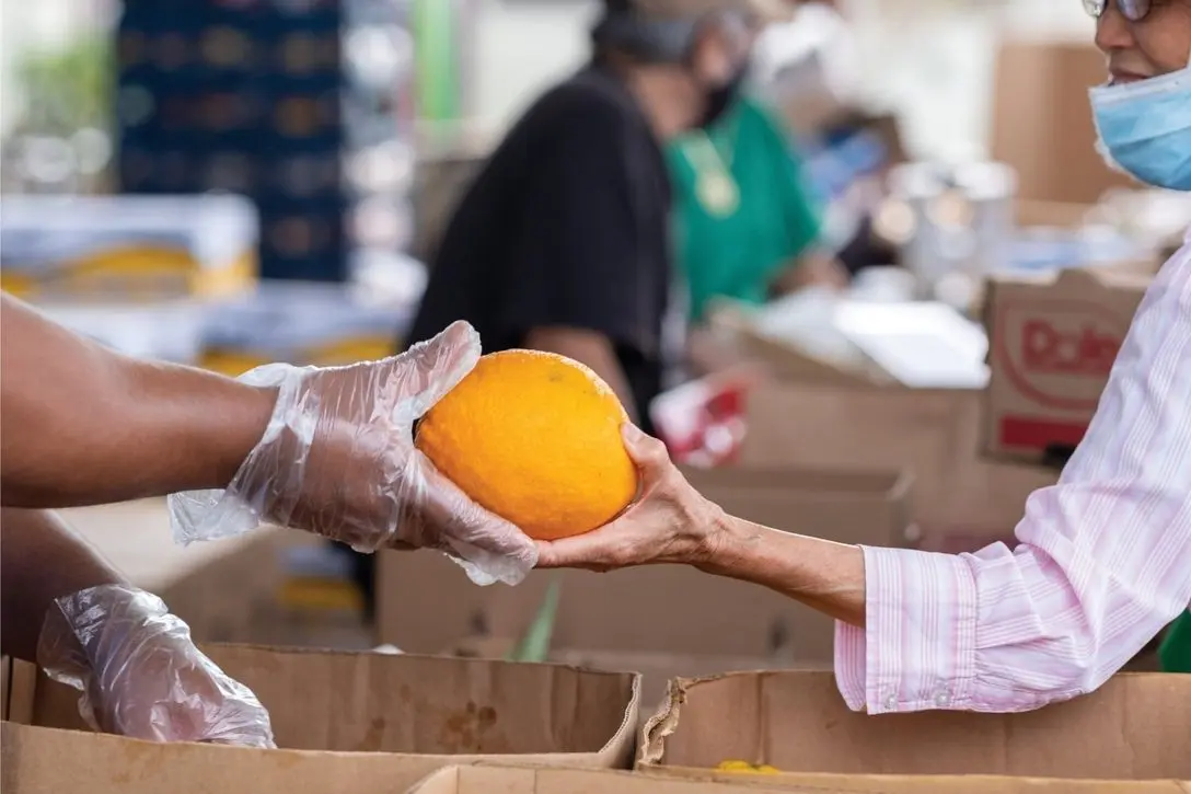 Gloved hands exchange an orange at a community food bank distribution