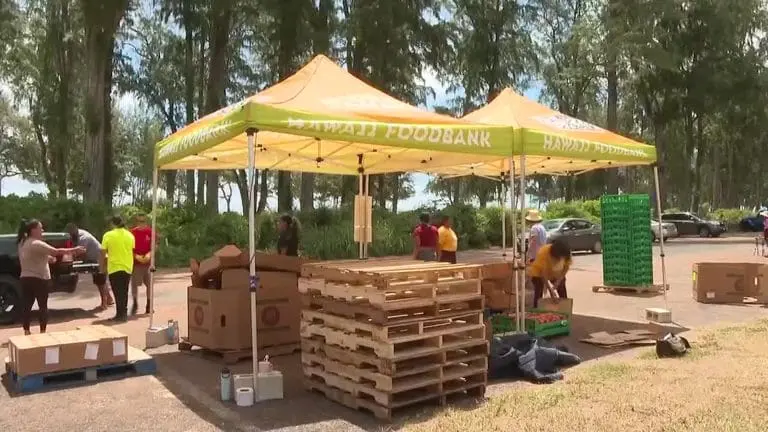 Free summer meal programs available for keiki