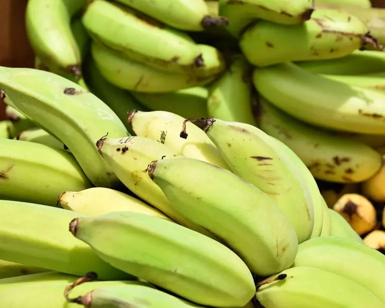 Hawaii Foodbank report exposes widespread food insecurity crisis