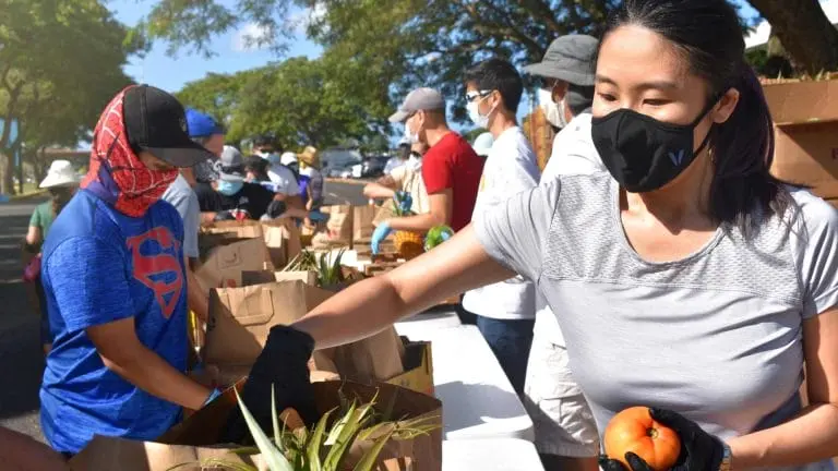Volunteering By the Numbers