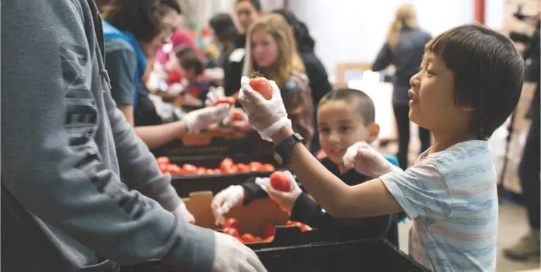 Food Drive Day