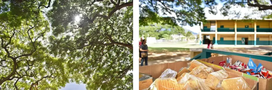 Food 4 Keiki School Pantry at Waianae Elementary School