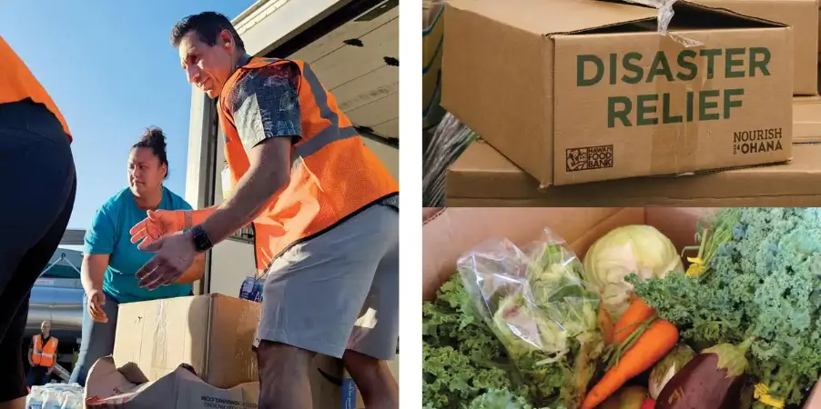 Fresh produce is distributed to families impacted by the wildfires. Maui Food Bank springs into action to provide immediate support to wildfire victims.