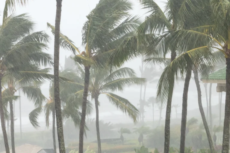 O‘ahu Food Distributions for Flood-Impacted Residents