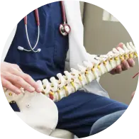 Doctor examining a human spine model.