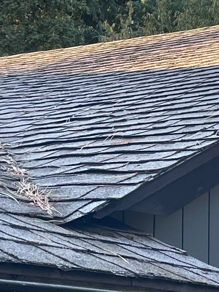 are lifted shingles a big deal reddit