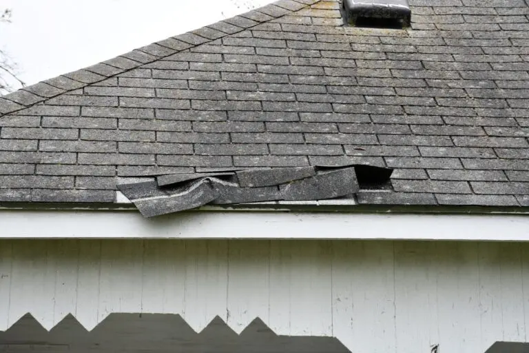 Roofing shingle damaged in storm