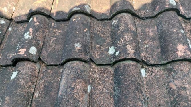 Weathered clay roof tiles with moss texture