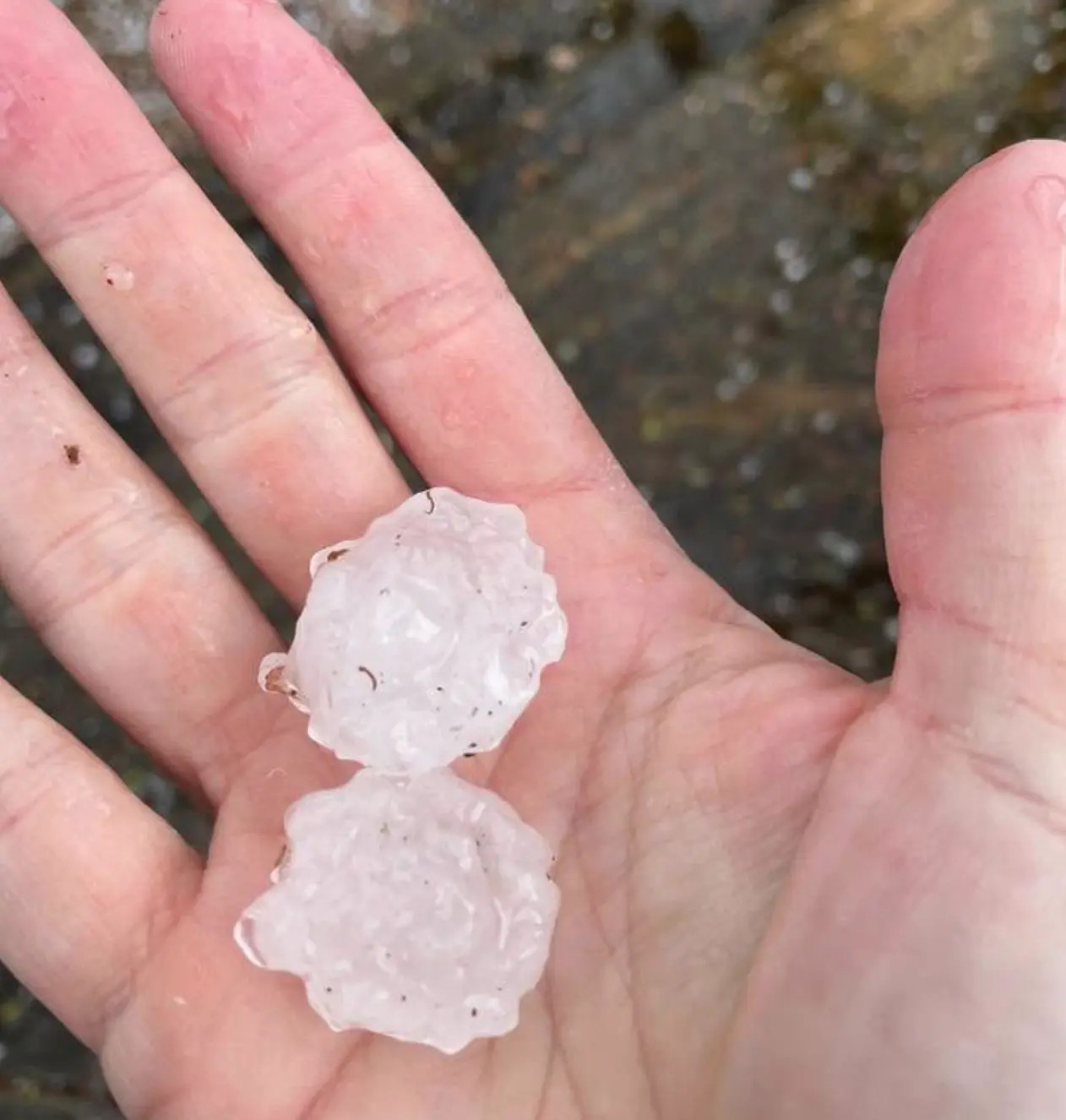 What size hail causes roof damage, a minnesota homeowners guide