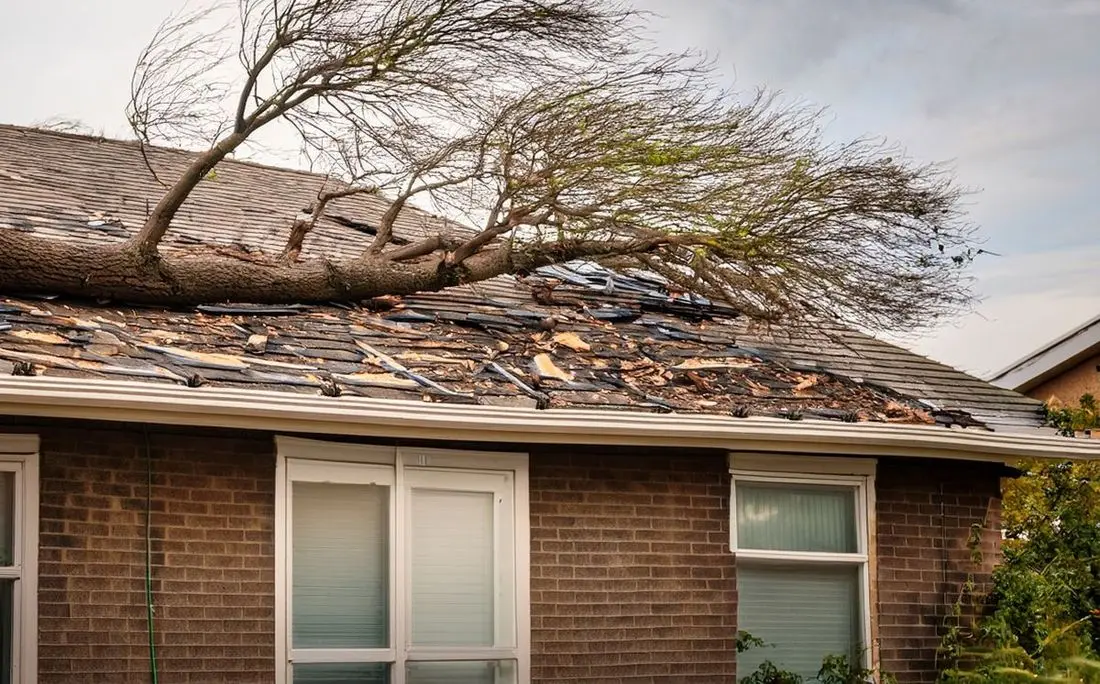 fallen tree branch on a house roof after a storm