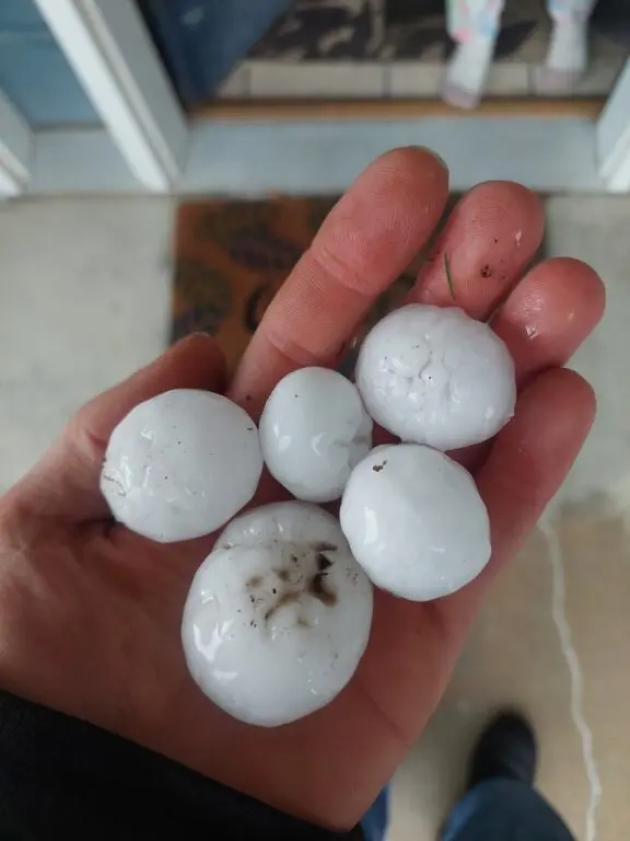 Faribault Hail News story