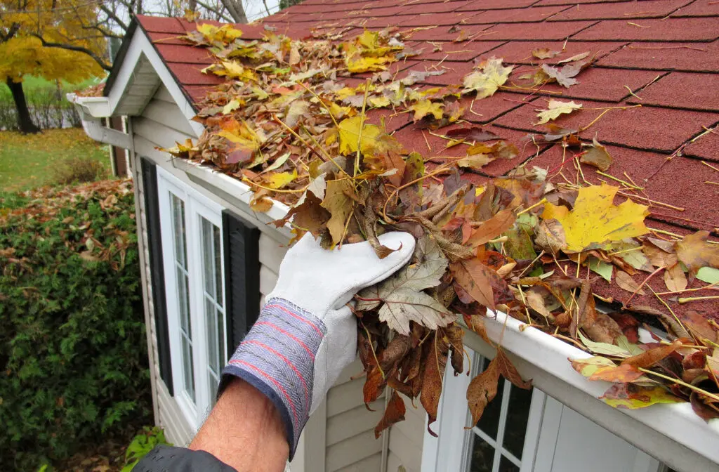 Clear gutters roof maintenance 2026 best tips dont have to hire a roofer