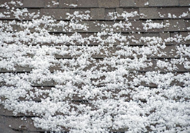 Hail on the Roof, Shoreview