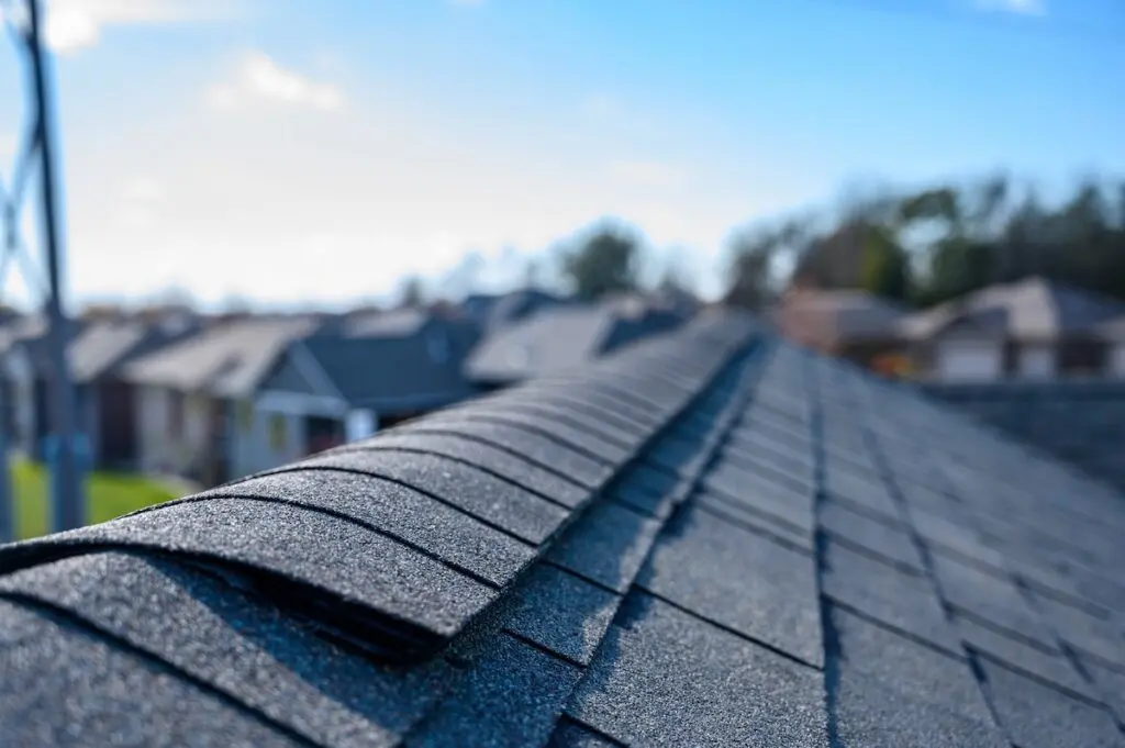 Asphalt shingle with ridge cap