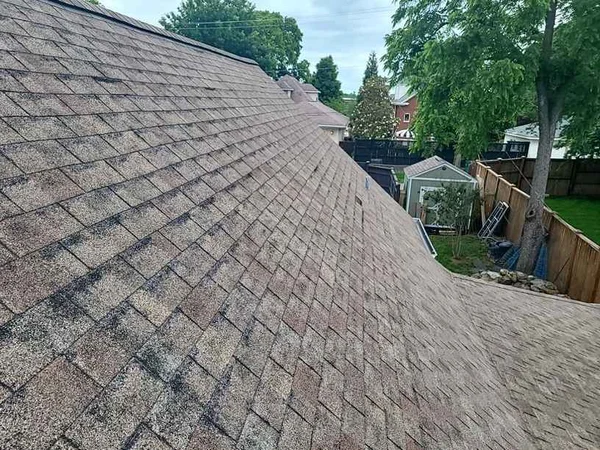 roofing granule loss shingles norma